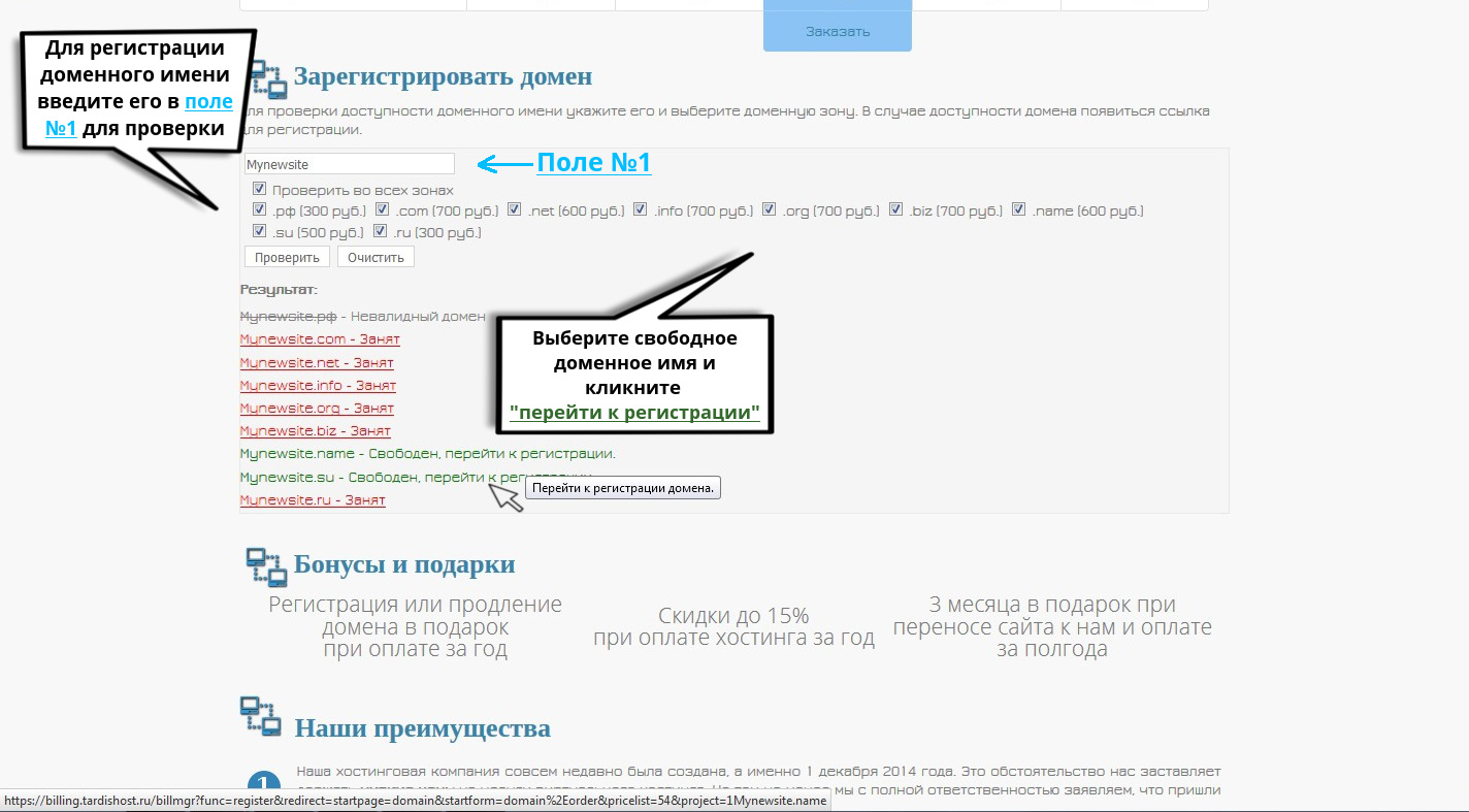 Фото страницы регистрации доменного имени хостинговой компании ТардисХост
